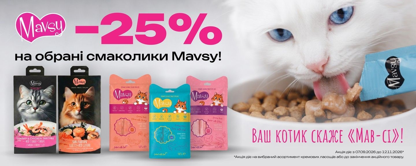 Mavsy Cat